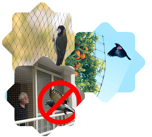 Pigeon safety nets in kushaiguda